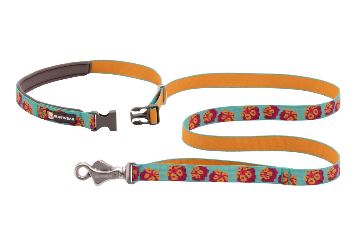 Ruffwear Flat Out Leash Spring Burst Wenatchee WA Puyallup