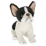 Lil Oliver The French Bulldog 6in