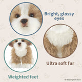 Murphy The Maltipoo 13in