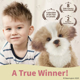 Murphy The Maltipoo 13in