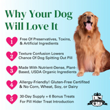 Dog product advertisement with a golden retriever and listed benefits on a light blue background