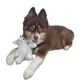 Petlou Classic Lamb 9in
