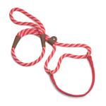 A red and white striped rope dog leash with brown leather accents and metal hardware, shown on a plain white background.