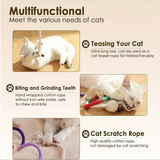 Multifunctional cat toy product description with images of cats using the product.
