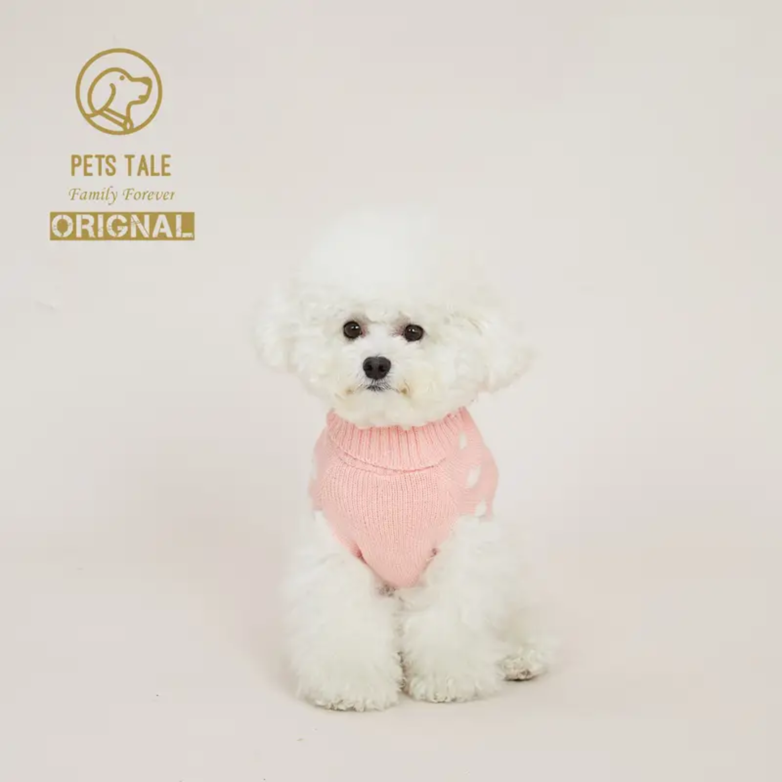 Small white dog wearing a pink sweater with 'Pets Tale' logo above on a light background