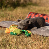 ROCT Hunter Pickle Dog Toy