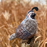 ROCT Quail Dog Toy