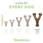 Dog chew toy with size chart for different dog weights, branded as Benebone.
