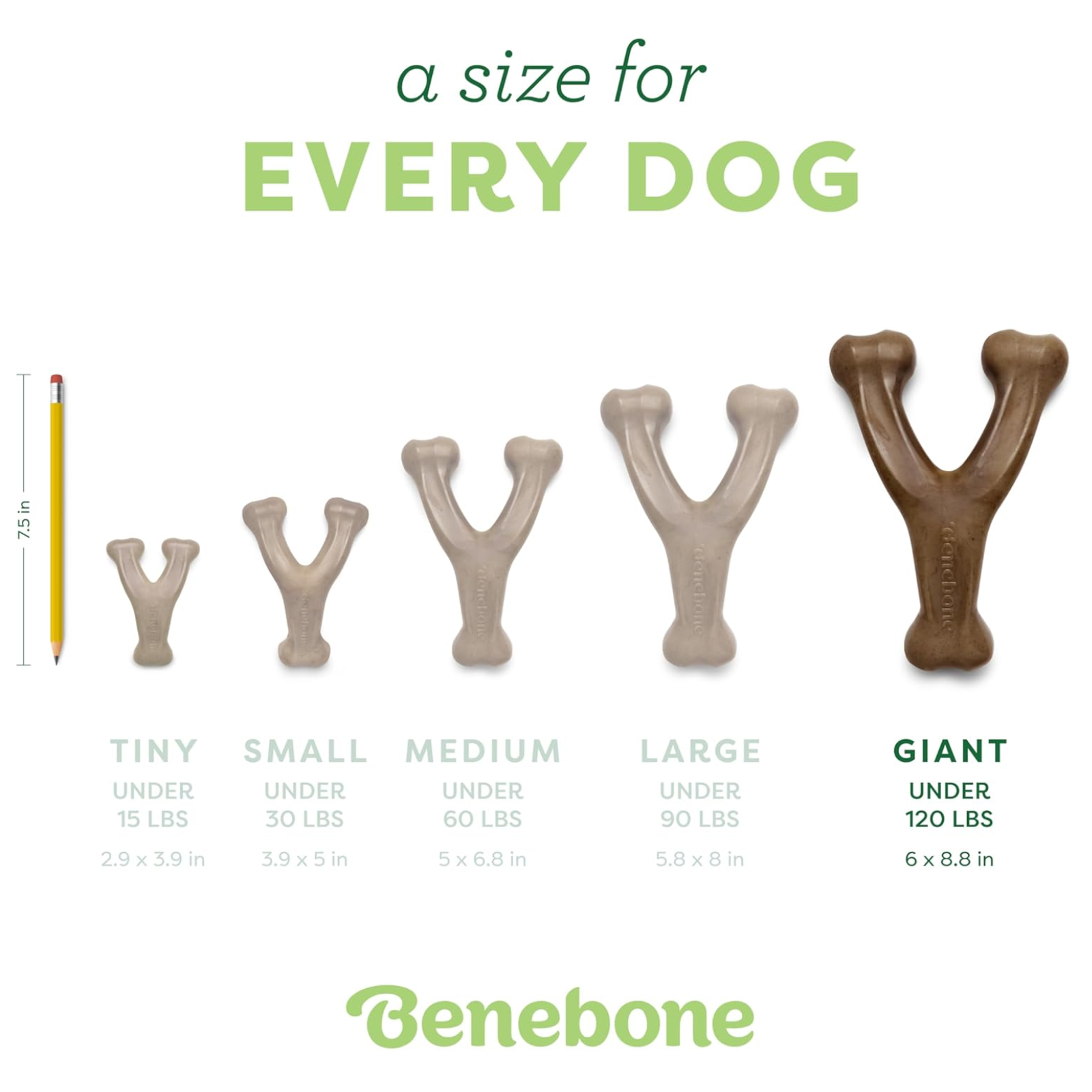 Dog chew toy with size chart for different dog weights, branded as Benebone.