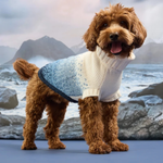 Dog wearing a knitted sweater with a mountainous background