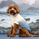 Dog wearing a sweater with a mountainous landscape in the background