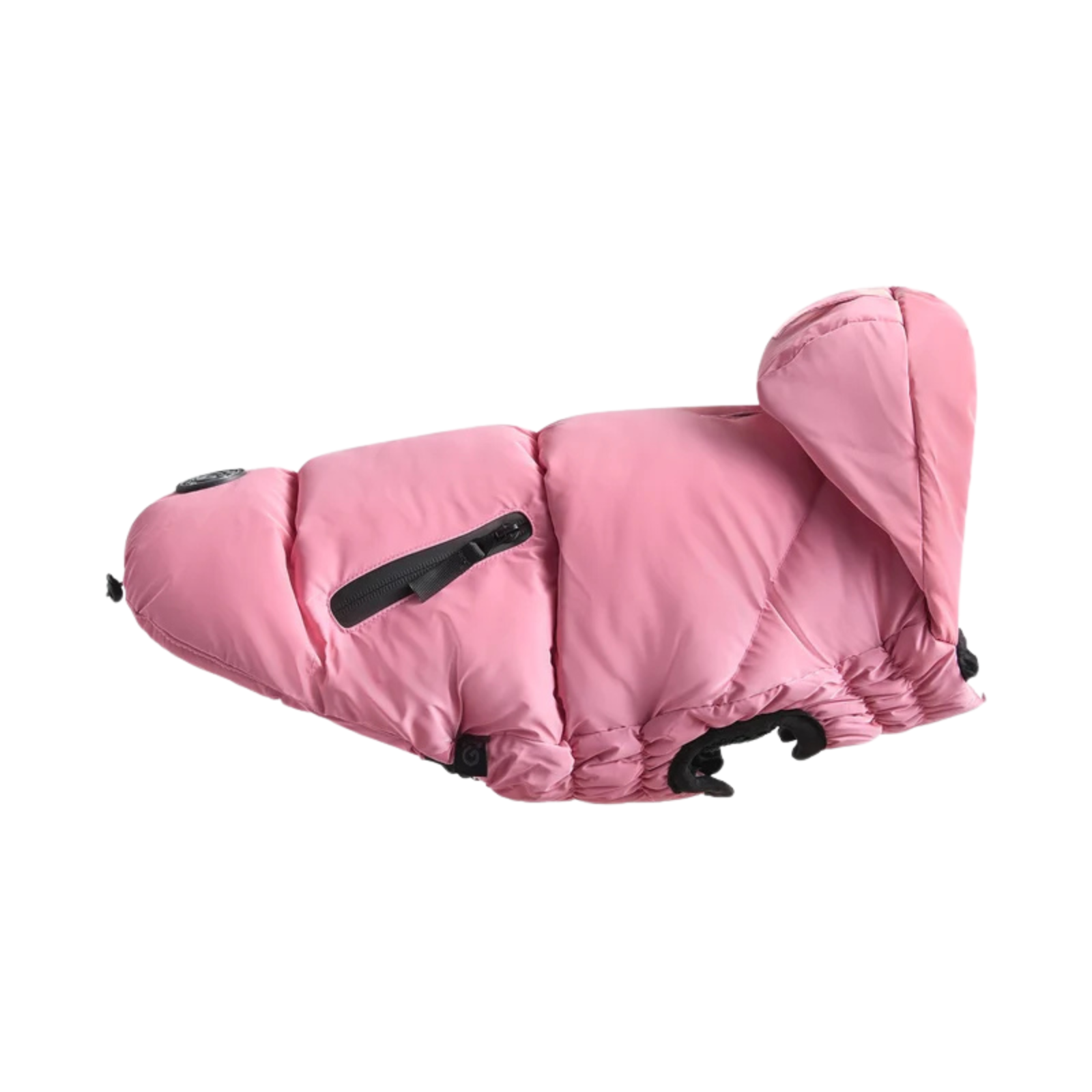 Pink dog coat on a white background