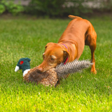 ROCT Pheasant Triple Stitched Tail Dog Toy