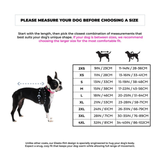 A sizing guide infographic for dog coats, featuring a black and white dog on the left, silhouette illustrations of dogs on the right, and a size chart listing measurements for 2XS through 4XL.