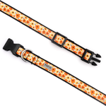 A dog collar with a repeating orange and yellow floral pattern on a cream background, featuring black plastic hardware and a silver metal ring.