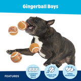 Bark Gingerball Boys Dog Toy