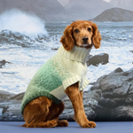 Dog wearing a green and white sweater standing on a rocky shore with waves in the background