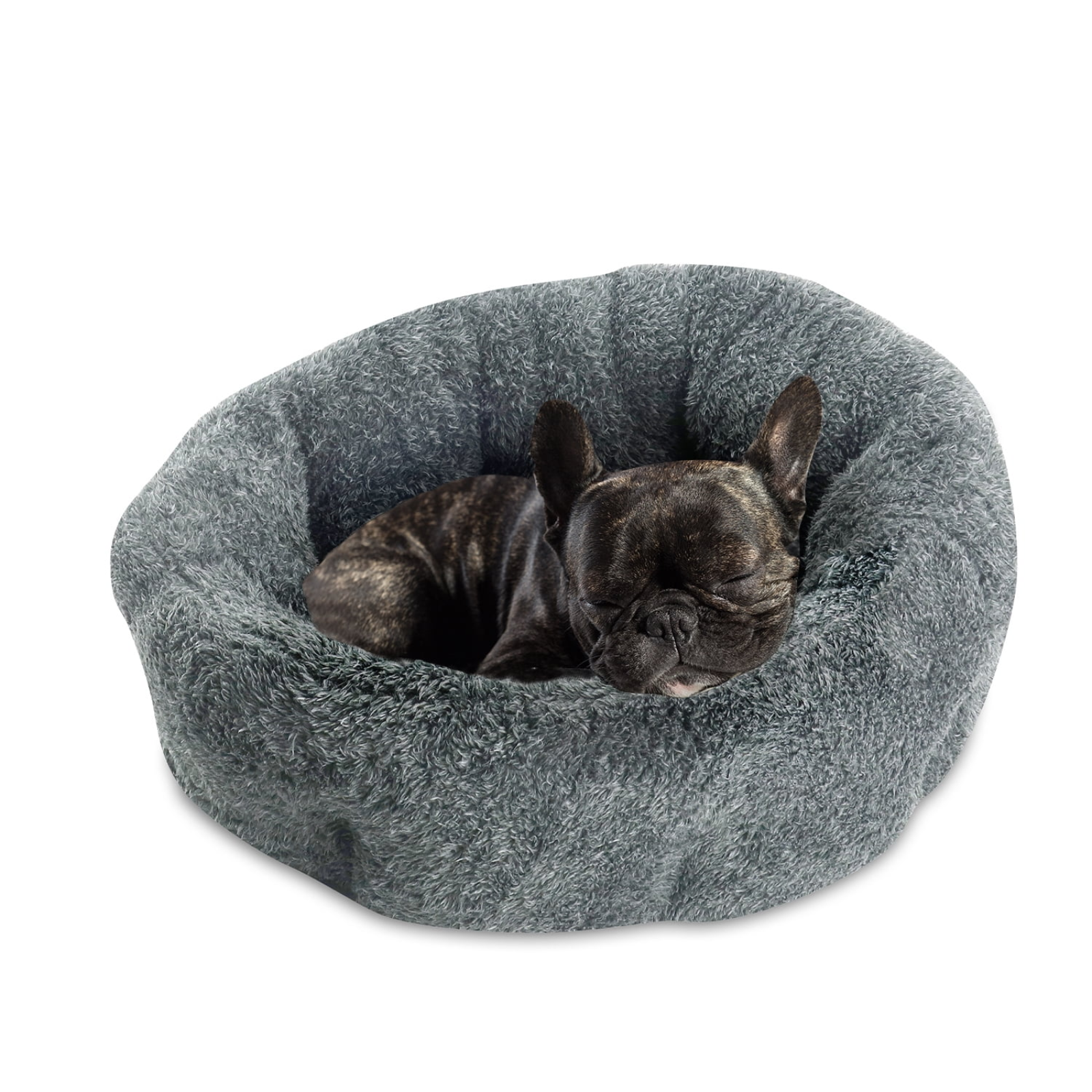 Dog lying in a gray donut-shaped pet bed on a white background