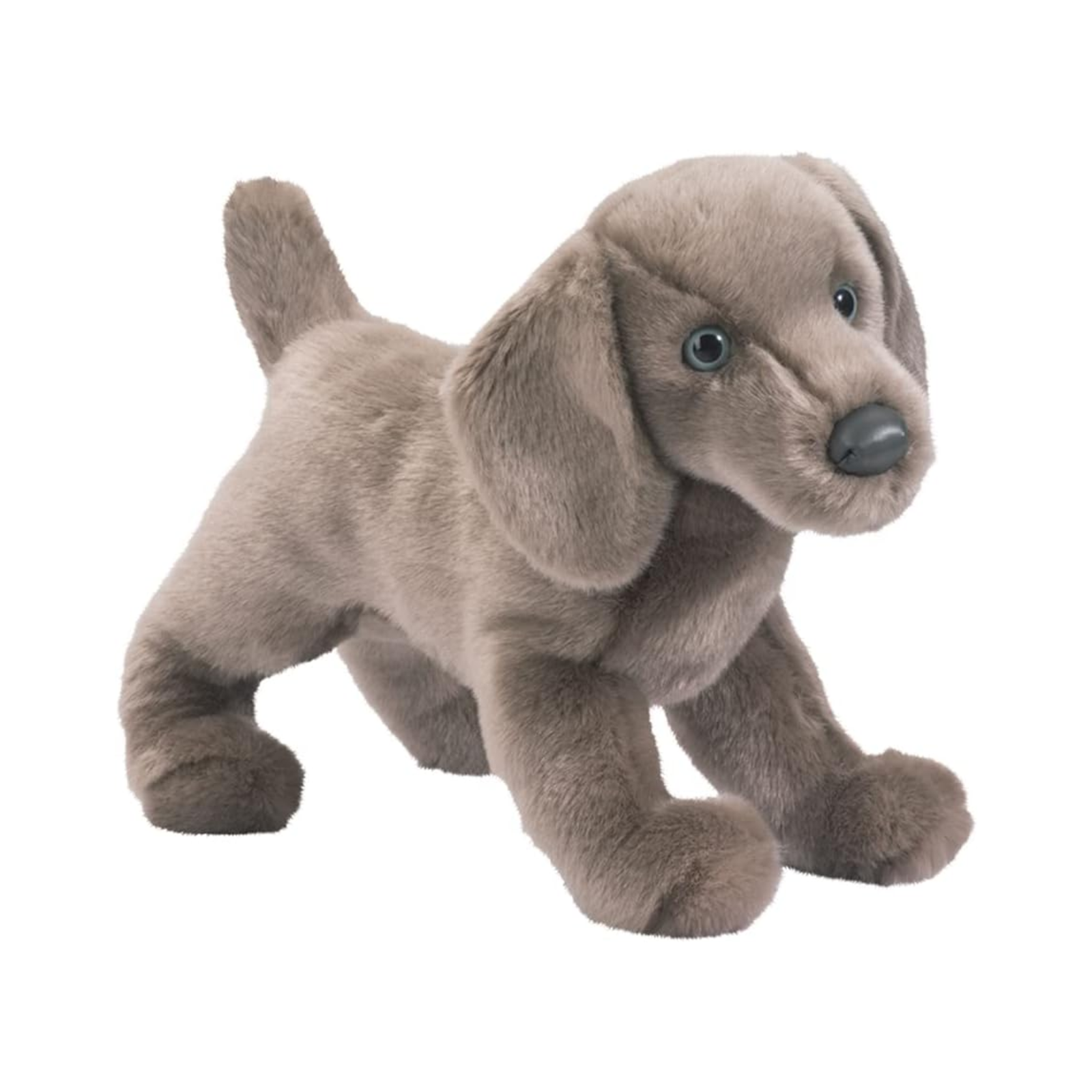 Plush toy dog on a white background