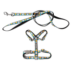 Dog leash and harness set with colorful pattern on a white background