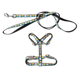 Dog leash and harness set with colorful pattern on a white background