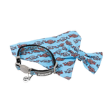 Fuzzy Yard dog bow tie and collar set with fish pattern on a blue background