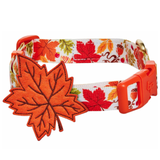 Dog collar with autumn leaf pattern and orange leaf charm on a white background