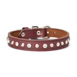 Leather Collar with Clear Rhinestones and Studs Brown 1in