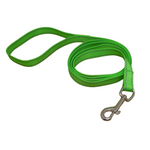 Green dog leash with a metal clip on a white background