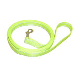 Neon green dog leash with reflective strip on a white background