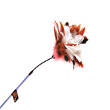 Cat toy with feathers on a white background