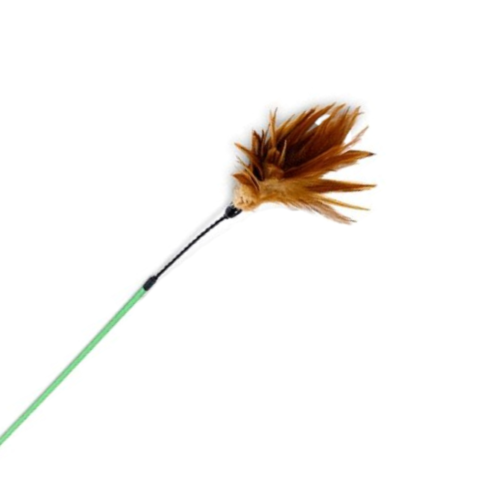 Cat toy with feather on a white background
