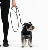 EzyDog Luca Lite Leash*