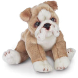 Tug The Bulldog 13in