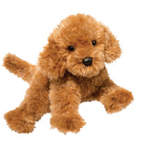 Douglas Addie Caramel Labradoodle
