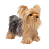 Douglas Brenton Yorkie