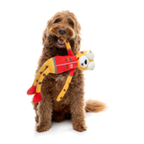 FuzzYard Lewis The Drift-tah Dog Toy