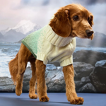 Dog wearing a sweater with a mountainous background