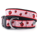 A pink woven dog collar with a repeating red ladybug pattern, black trim, a black plastic buckle, and a silver metal ring, shown on a white background.