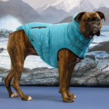 Dog wearing a blue coat standing on a mountainous landscape