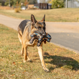 ROCT Go West Elk Dog Toy