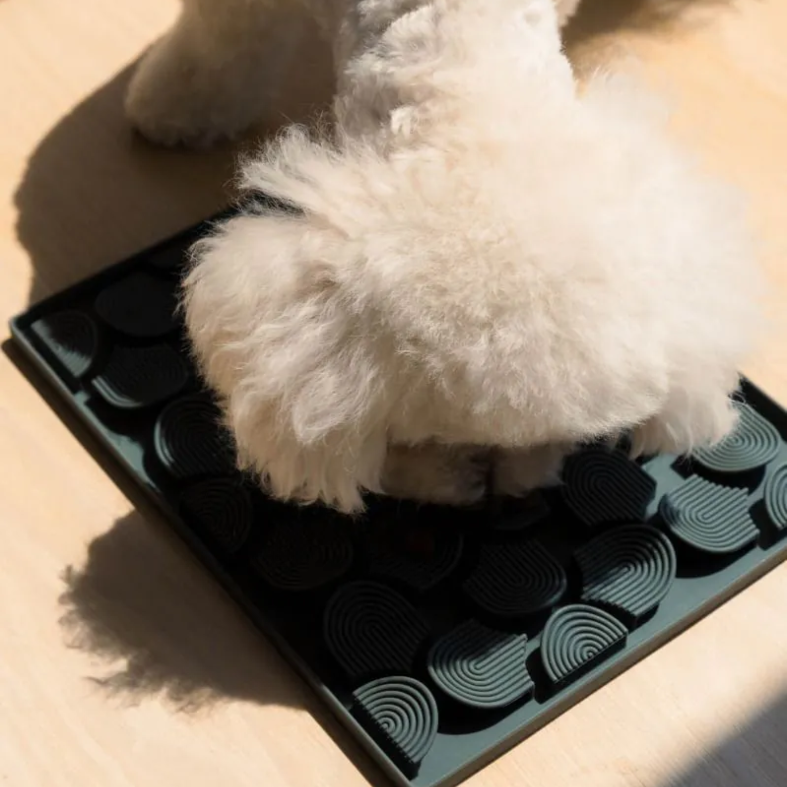 Small white dog lying on a black mat with circular patterns on a beige surface