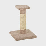 Ware Kitty Cactus with Sisal 18in