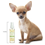 Small dog sitting next to a bottle of Pet House products on a white background