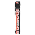 A pink dog collar with a ladybug pattern, featuring black plastic hardware and a silver metal D-ring, shown against a plain white background.