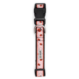 A pink dog collar with a ladybug pattern, featuring black plastic hardware and a silver metal D-ring, shown against a plain white background.