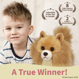 Rudy The Pomeranian 13in