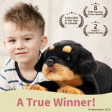 Gunner The Rottweiler 15in