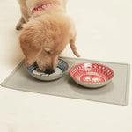 Puppy drinking from a blue and white bowl on a gray mat with another red and white bowl.