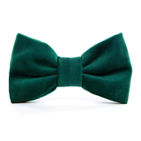 Foggy Dog Forest Green Velvet Dog Bow Tie